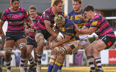 Tigers mauled in Eales Wilson Shield