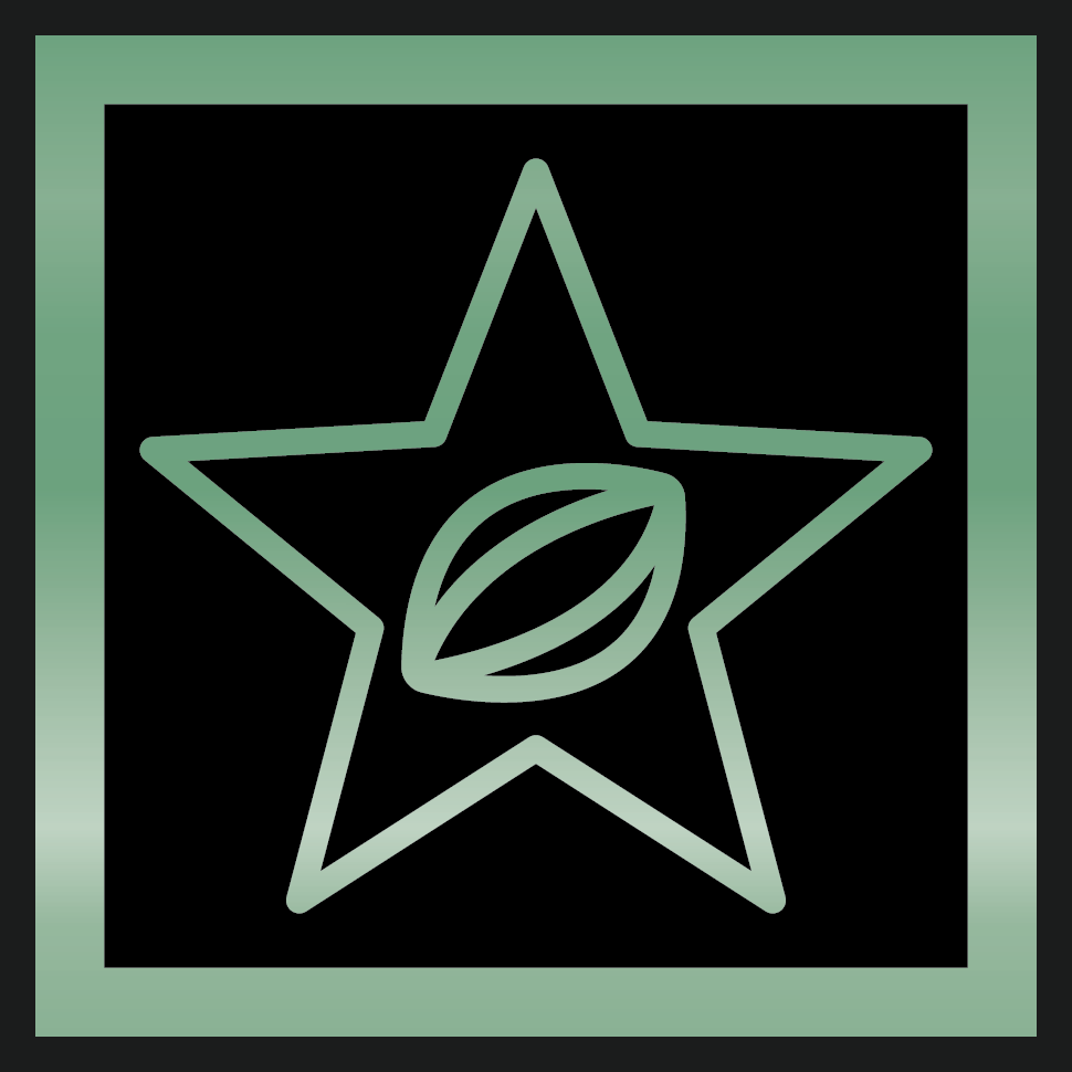 VIC Representative Player